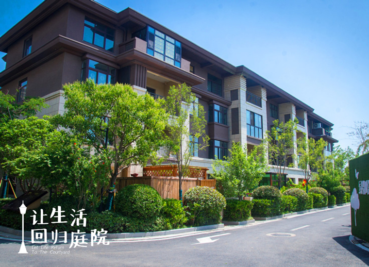 前后张望南阳50年：这样的天井，很难再有了！