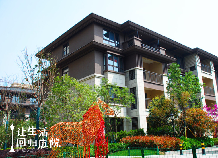 前后张望南阳50年：这样的天井，很难再有了！