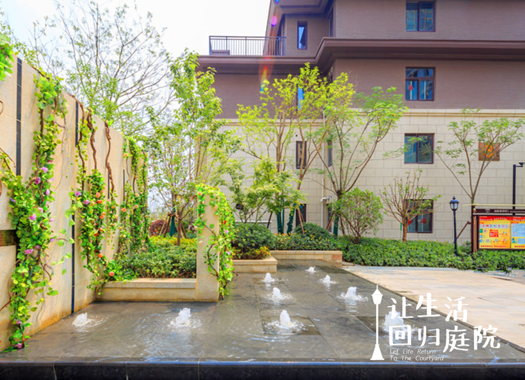 前后张望南阳50年：这样的天井，很难再有了！
