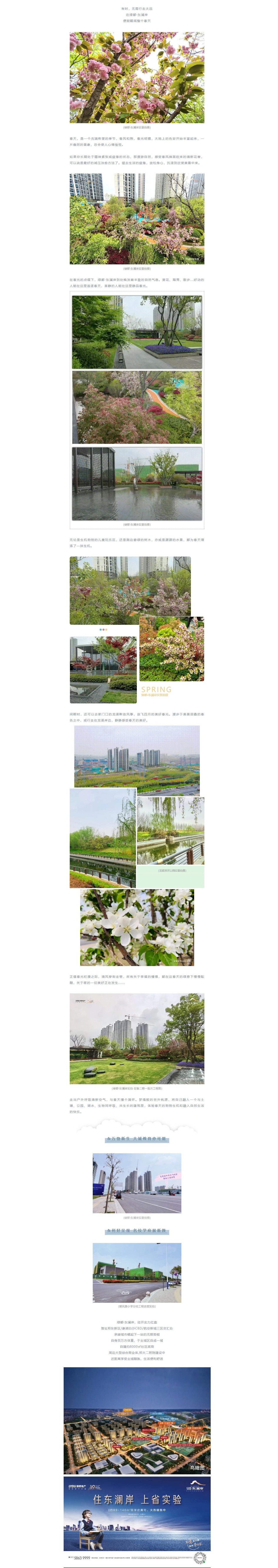 赏花踏青，来一场和春天的约会
